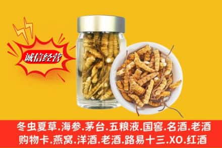 囊谦县回收散虫草