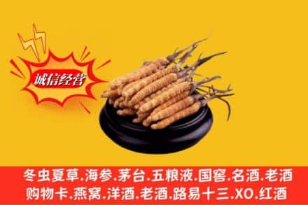囊谦县求购回收虫草多少钱每克